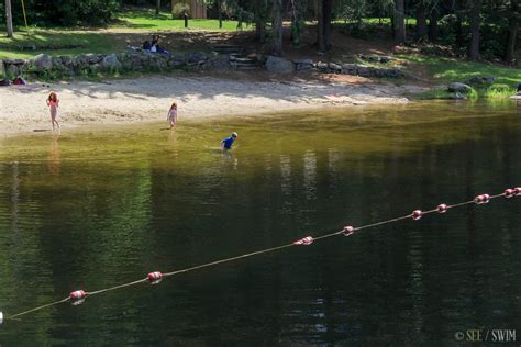 Willard brook state forest is located near townsend and includes just under 2,600 acres of lush greenery. Willard Brook State Forest, Damon Pond - See Swim
