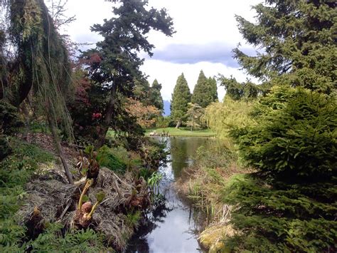 Traditionally, botanical gardens symbolized a human place in the natural world. LINC at VCC: Van Dusen Botanical Garden