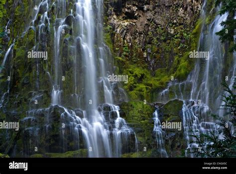 Proxy Falls Waterfall In Oregon Stock Photo Alamy