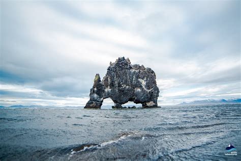 Hvítserkur Icelands Rhino Rock Arctic Adventures