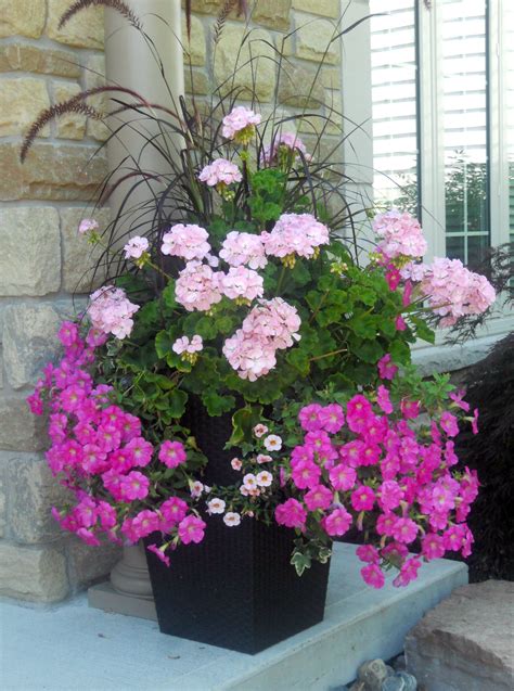 Pretty In Pink Container Flowers Flower Planters Container