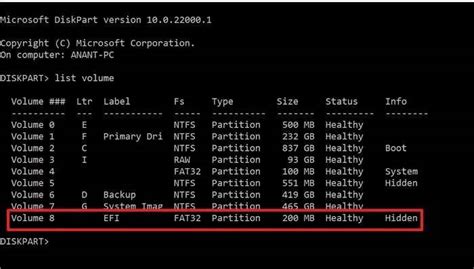 Everything About The EFI System Partition On Windows