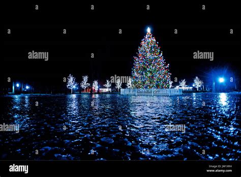 Outdoor Christmas Tree Hi Res Stock Photography And Images Alamy