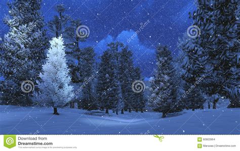 Snowy Pine Forest At Snowfall Night Stock Photo Image 60803964