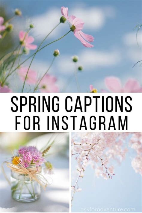Instagram Captions Flowers Spring Quotes For Instagram