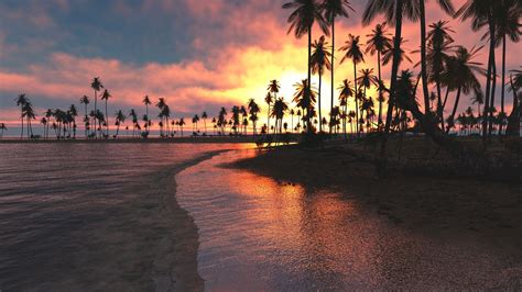 1920x1080 Palm Trees Sunset Sea Laptop Full Hd 1080p Hd 4k