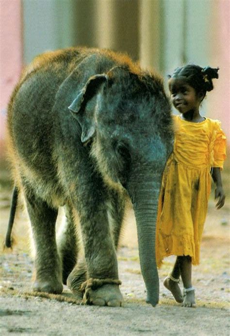 Pin By Toffay On Kids Elephant Elephant Love Animals Friends