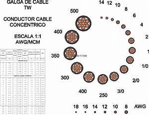 Ear Gauge Chart Actual Size Qustreports