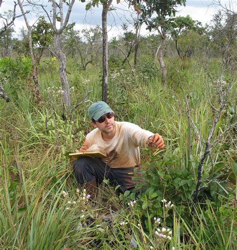 How Wec Works Emilio Bruna Ufifas Wildlife Ecology And Conservation