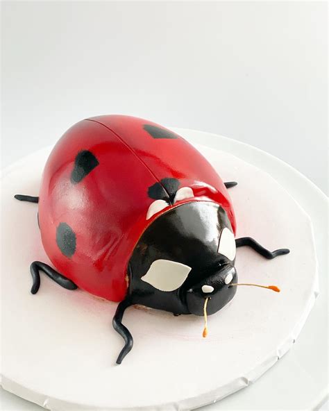 lady bug mandy s custom cakes