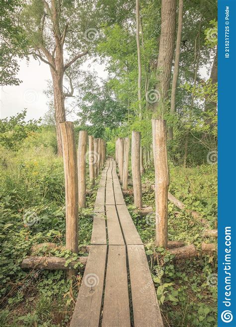Raised Wooden Path Or Walkway Stock Image Image Of Path Growth