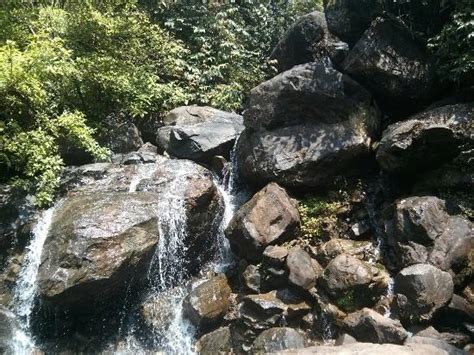 Anashi Waterfall Karwar Indien Omdömen Tripadvisor