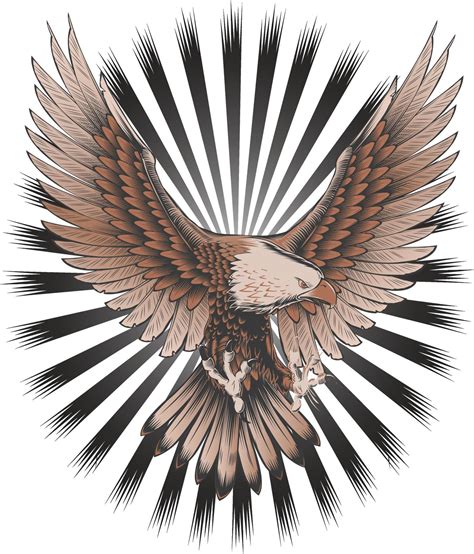 Creative Flying American Bald Eagle Vector Art Illustration Graphic