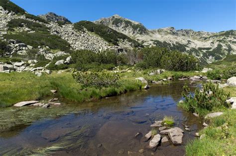 Landscape With Mountain River Near Muratov Peak Pirin Mountain