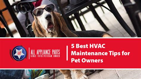 5 Best Hvac Maintenance Tips For Pet Owners All Appliance Parts Of