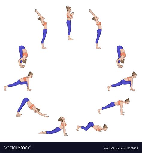 Sun Salutation Surya Namaskara A Yoga Sequence Vector Image My XXX