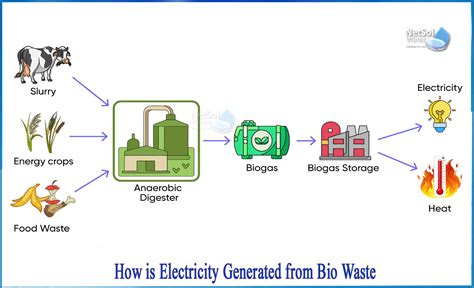 How Is Electricity Generated From Bio Waste