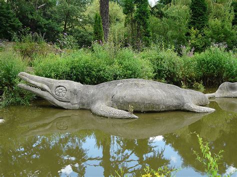 Download Ichthyosaur State Fossil | State Symbols USA