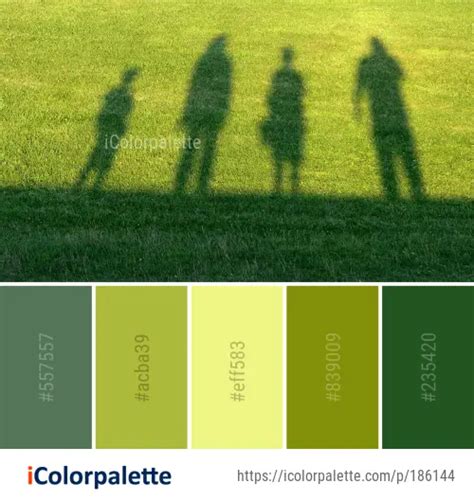 Color Palette Ideas From Green Grass Field Image Icolorpalette