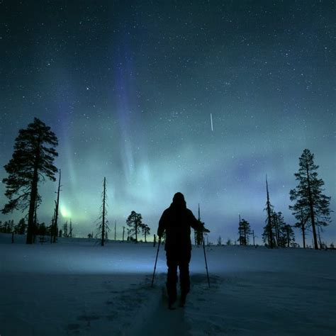 Things To Do In Lapland Activities Experinces And Safaris
