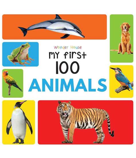 My First 100 Animals Buy My First 100 Animals Online At Low Price In