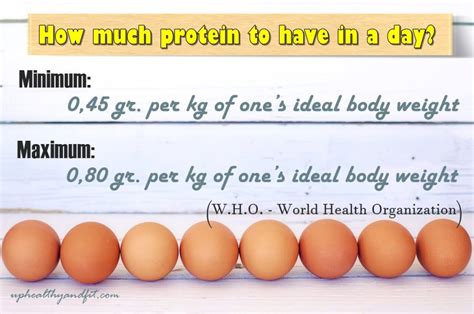 How Much Protein To Have In A Day