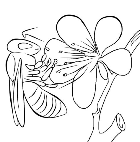 Bee coloring pages
