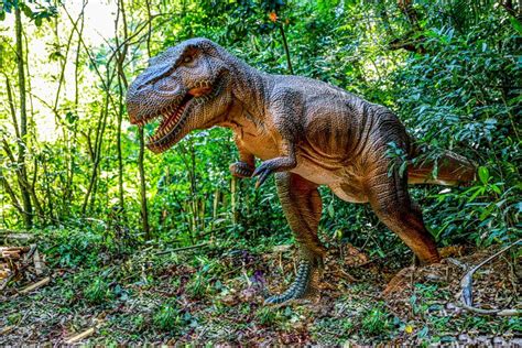 O Maior Parque Dos Dinossauros Do Mundo Será Inaugurado Em 2022