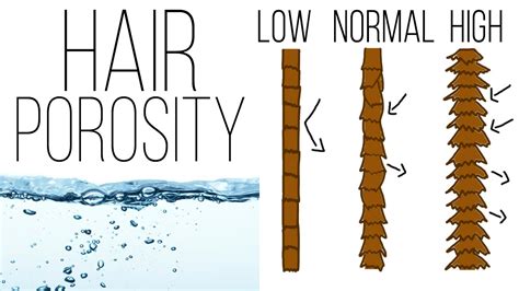 All About Hair Porosity Youtube