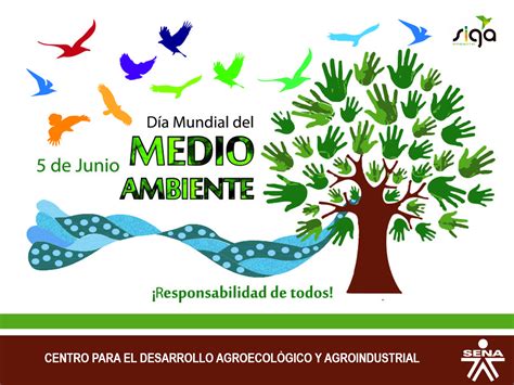 Una solución bastante eficaz se encuentra en los es probable que no lo notemos a simple vista, pero la falta de consciencia es el peor enemigo del medio ambiente. Centro para el Desarrollo Agroecológico y Agroindustrial ...
