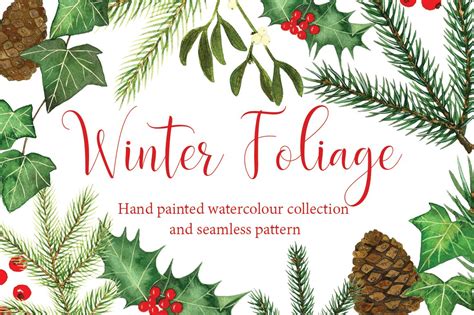 Watercolour Winter Foliage ~ Illustrations ~ Creative Market