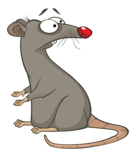 Best Animated Rat Illustrations Royalty Free Vector