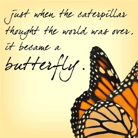 Butterfly Quotes Part 1 We Need Fun