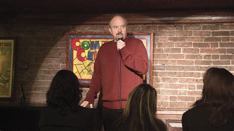 “louie” Season Five Tv Review On Fx Variety