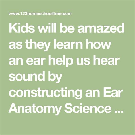 Ear Model Anatomy Science Project Science Projects Science Ear Anatomy