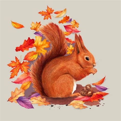 Watercolour Animal Illustration The Beautiful Red Squirrel With Autumn