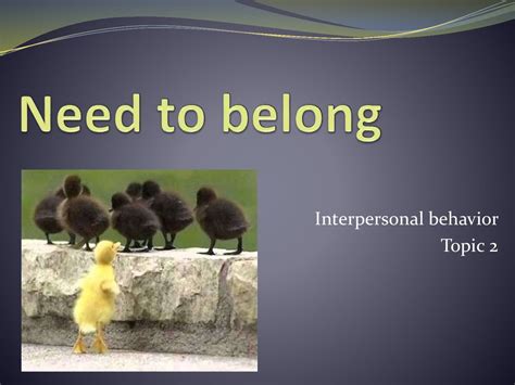 Need To Belong Interpersonal Behavior презентация онлайн