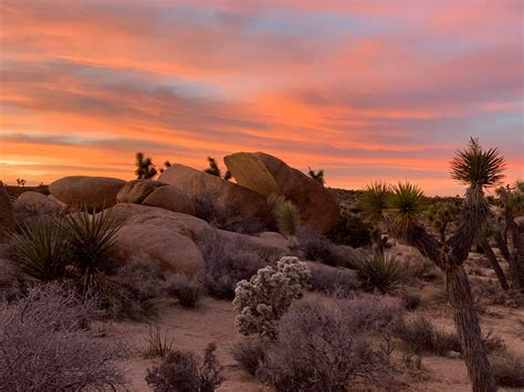 Joshua Tree National Park Oc Photography Kit National Photography