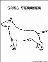 Coloring Bullterrier Pages Fun sketch template