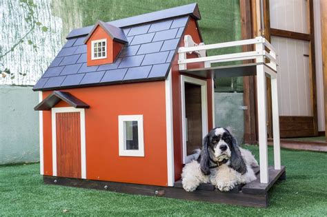 🥇🐶top 5 Best German Shepherd Dog House In 2022