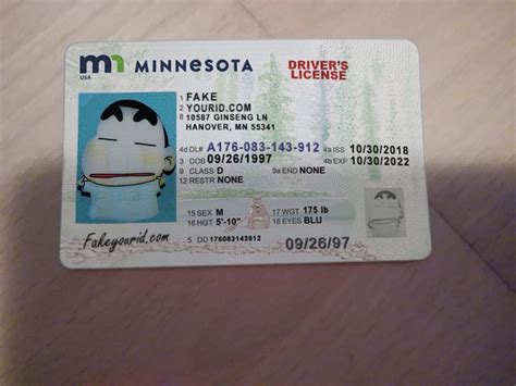 Minnesota Drivers License Template Nsabuyer