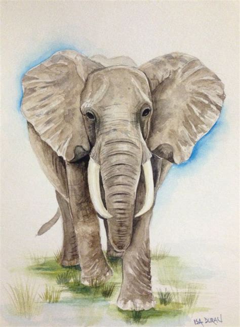 African Elephant Elephant Watercolor Painting Elephant