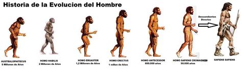 Historia De La Evolucion Del Hombre Homo Sapiens Actual Homo Sapiens