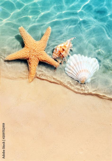 Starfish And Seashell On The Summer Beach In Sea Water Stock Photo