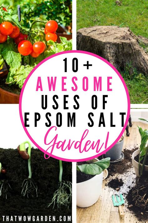 Check spelling or type a new query. 10 Proven Uses of Epsom Salt In The Garden | ThatWoWGarden ...