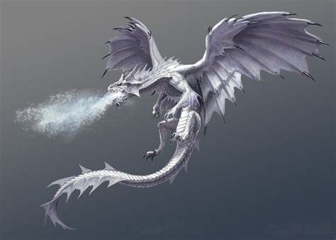 Fantastique Dragons De Glace Ou Neige