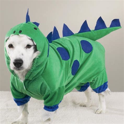 Dinosaur Dog Halloween Costume By Casual Canine Baxterboo