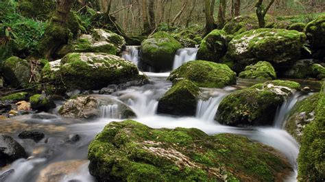 River Nature Landscape Water Waterfall Long Exposure Rock Moss