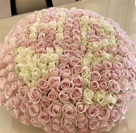 Over 270 Pink Roses Infinite Monte Carlo