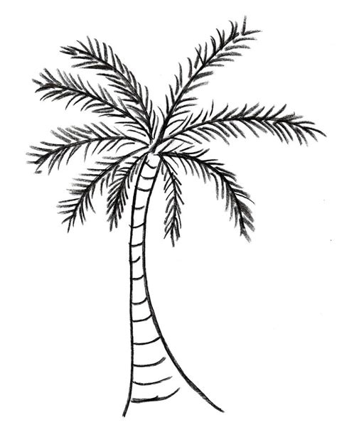 Coconut palms outline coloring page. Coconut Tree Coloring Page at GetColorings.com | Free ...